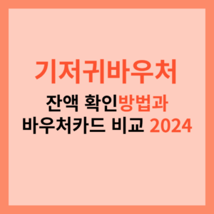 기저귀바우처 잔액 확인 방법과 바우처카드 비교 2024