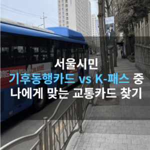 서울시민 기후동행카드 vs K-패스 중 나에게 맞는 교통카드 찾기